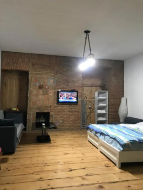 Brick wall apartment/one bedroom/Rustaveli avenue